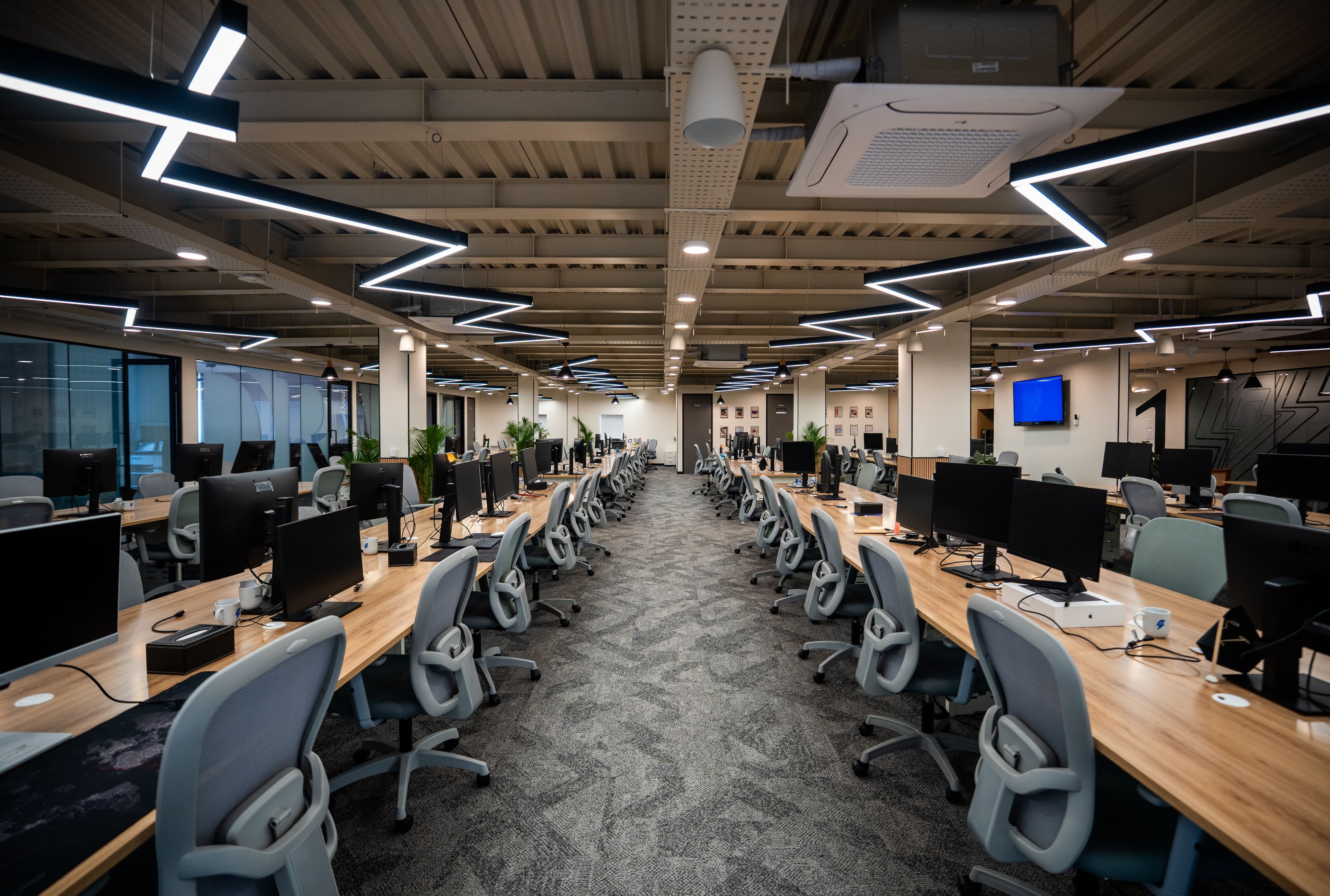 Customised office interior with branded decor and plants